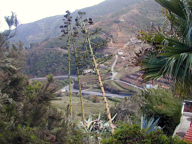 La Gomera